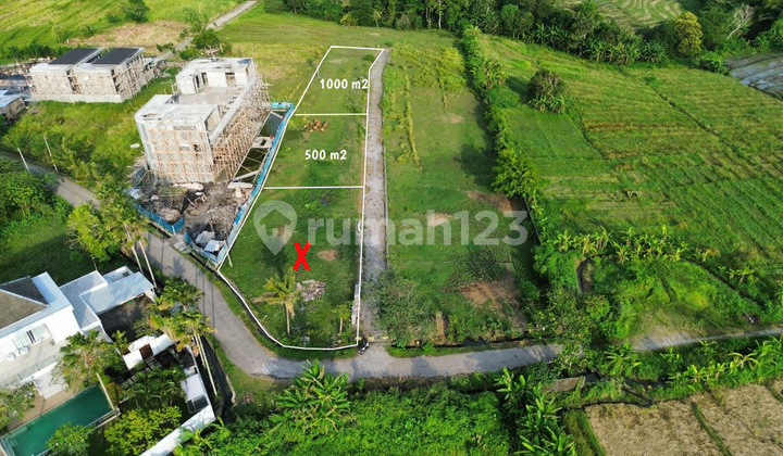Ocran View - Land Sale Kedungu At Kedungu Beach Ocran View - Land Sale Kedungu At Kedungu Beach