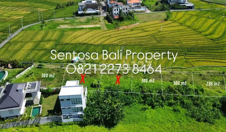 Tanah di Pantai Mengening Cemagi - View sawah dan Laut Tanah di Pantai Mengening Cemagi - View sawah dan Laut