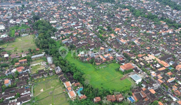 Tanah Disewakan - Pusat Ubud