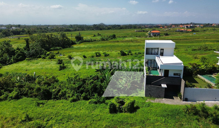 Cheap land in Cemagi - Rice field view.