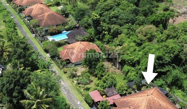 Cozy House 3 Bedrooms 521m² Tegal mengkeb selemadeg Tabanan 2