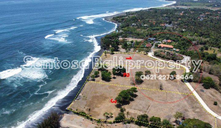 Beach Front Land Sale 11538m2 In Saba Beach Gianyar Bali  1