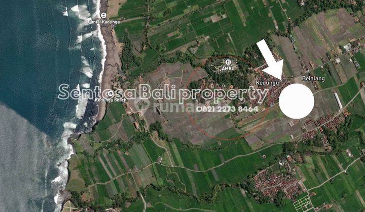 Tanah di Pantai Kedungu Tabanan 1668m² Lingkungan Villa Dan Sawah 2