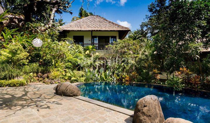 Luxury Villa In Kediri Tabanan , Ricefield , Jungle And River View 1