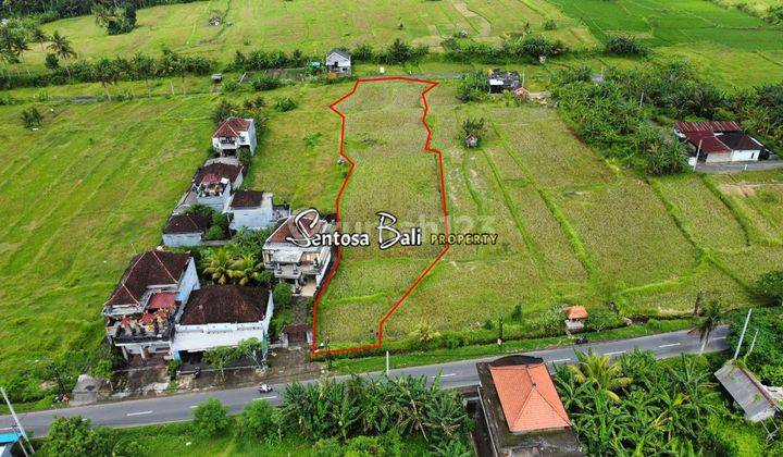 Cheap Land in Siangan Gianyar Bali View Rice Fields  2