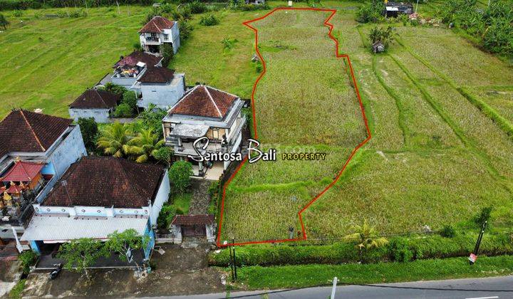 Cheap Land in Siangan Gianyar Bali View Rice Fields  1