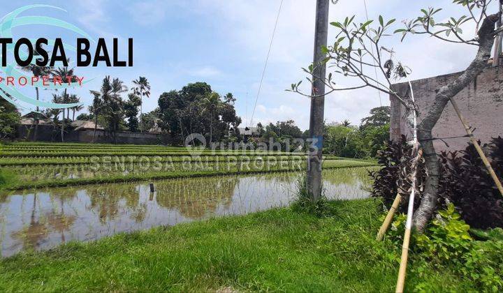 Tanah di Pantai Nyanyi Beraban Dekat Tanah Lot Tabanan , Lingkungan Villa  4