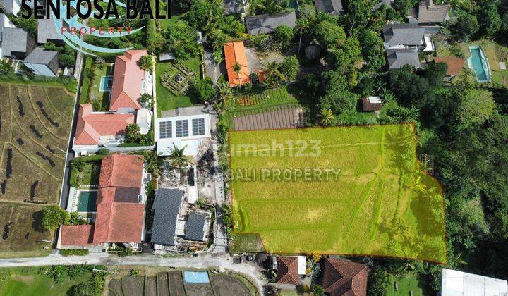 Tanah di Pantai Nyanyi Beraban Dekat Tanah Lot Tabanan , Lingkungan Villa  9
