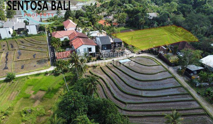 Tanah di Pantai Nyanyi Beraban Dekat Tanah Lot Tabanan , Lingkungan Villa  12