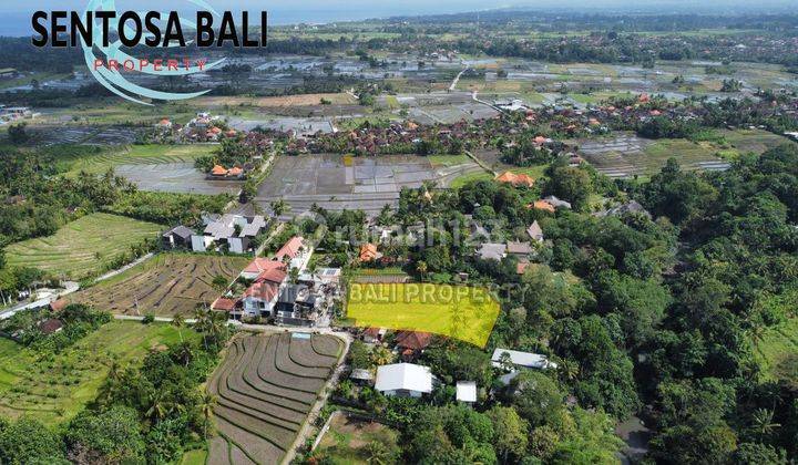 Tanah di Pantai Nyanyi Beraban Dekat Tanah Lot Tabanan , Lingkungan Villa  14