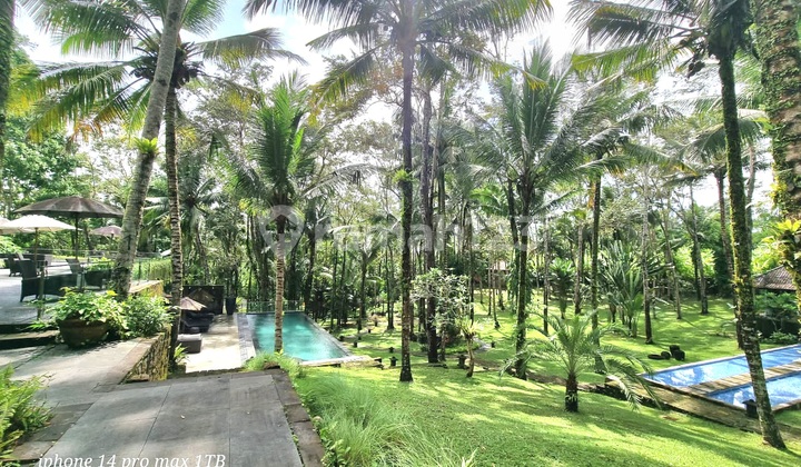 Modern Tropical Style Villa di Pekutatan ,jembrana, Bali 5