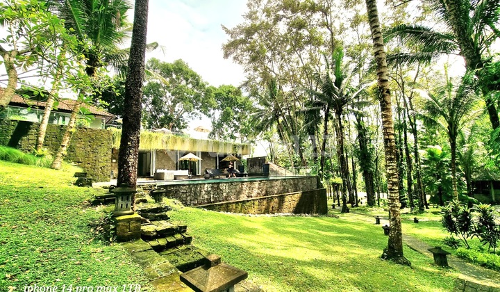 Modern Tropical Style Villa di Pekutatan ,jembrana, Bali 6
