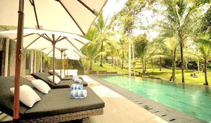 Modern Tropical Style Villa di Pekutatan ,jembrana, Bali 20