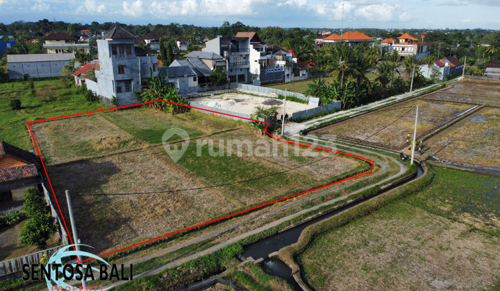 Tanah di Nyanyi , Badung, Badung View Sawah Kavling 7