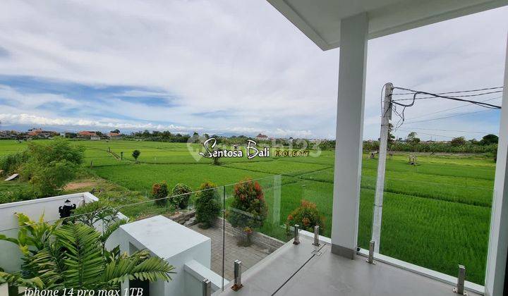 Modern Villa in Seminyak, Badung, Bali View of Rice Fields 2