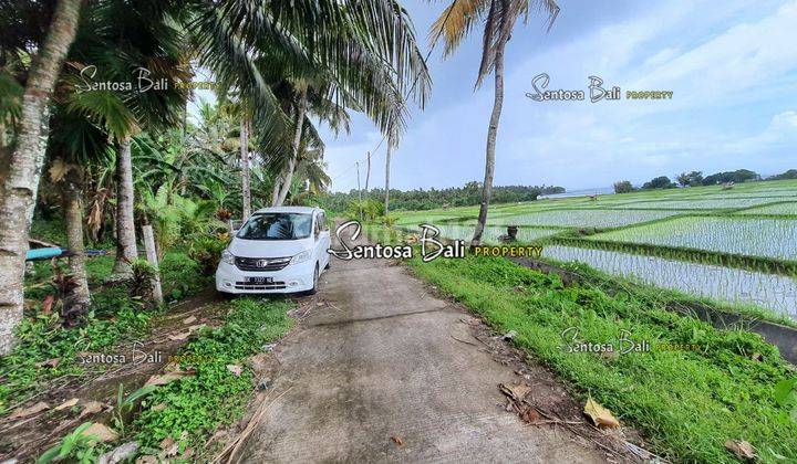 Tanah Murah di Medewi , Pekutatan Jembrana, Lingkungan Villa 2
