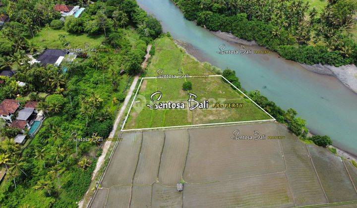 Tanah Murah di Medewi , Pekutatan Jembrana, Lingkungan Villa 6