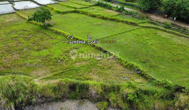 Tanah Murah di Medewi , Pekutatan Jembrana, Lingkungan Villa 10