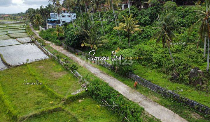 Tanah Murah di Medewi , Pekutatan Jembrana, Lingkungan Villa 11