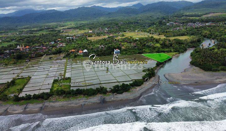 Tanah Murah di Medewi , Pekutatan Jembrana, Lingkungan Villa 13