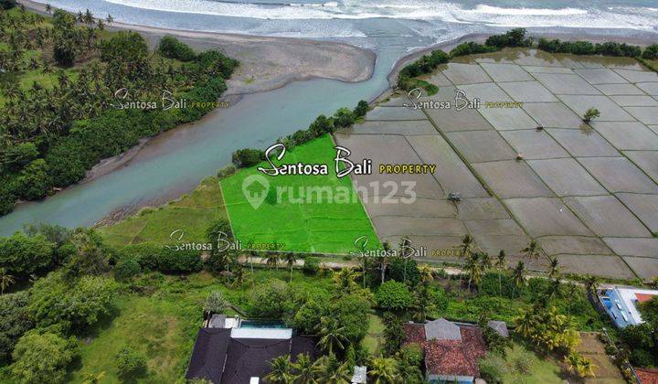 Tanah Murah di Medewi , Pekutatan Jembrana, Lingkungan Villa 15