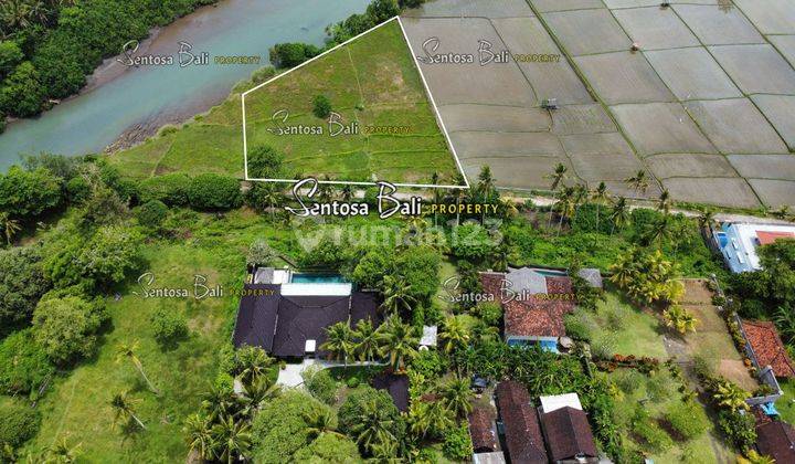 Tanah Murah di Medewi , Pekutatan Jembrana, Lingkungan Villa 16
