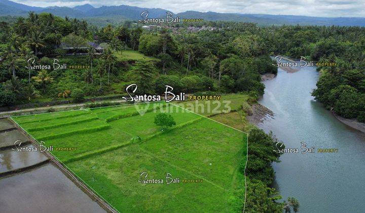 Tanah Murah di Medewi , Pekutatan Jembrana, Lingkungan Villa 18