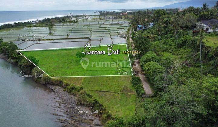 Tanah Murah di Medewi , Pekutatan Jembrana, Lingkungan Villa 19