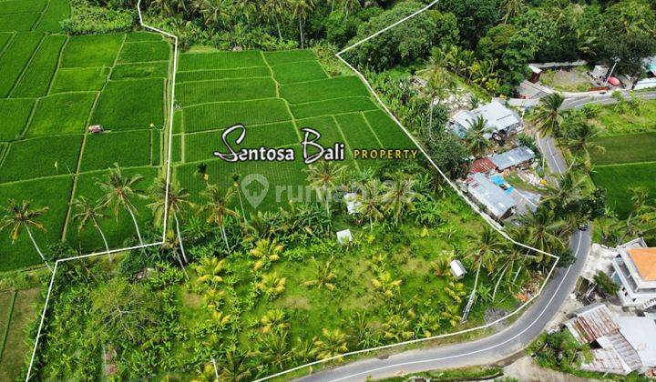 Tanah di Payangan , Ubud, Gianyar View Sawah Dan Hutan  1