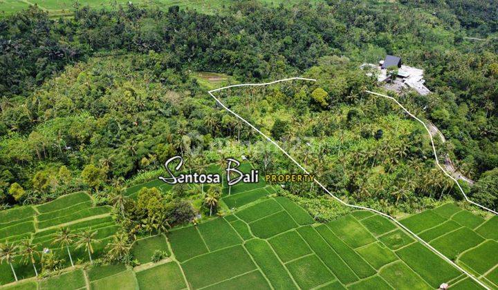 Tanah di Payangan , Ubud, Gianyar View Sawah Dan Hutan  3