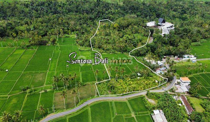 Tanah di Payangan , Ubud, Gianyar View Sawah Dan Hutan  5