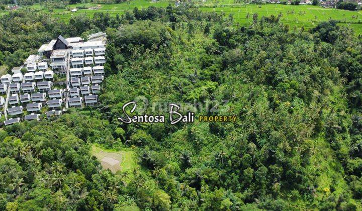 Tanah di Payangan , Ubud, Gianyar View Sawah Dan Hutan  7