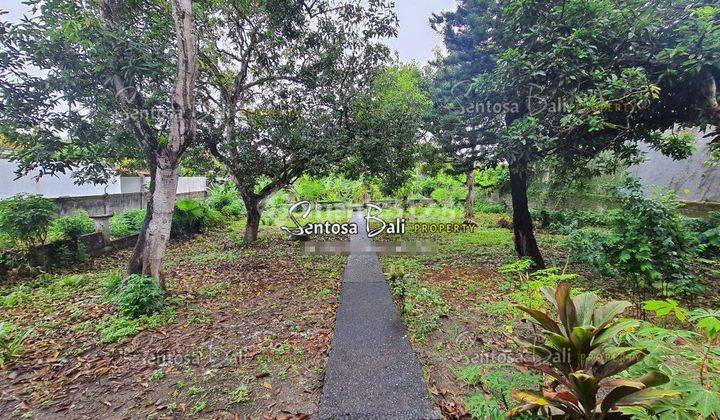 Tanah di Batu Belig , Kerobokan , Badung Dekat Seminyak Canggu 2