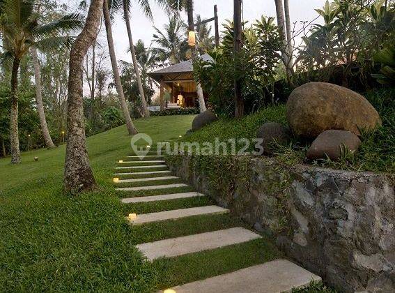 Villa di Pasut , Kerambitan , Tabanan, View Sungai Dan Hutan