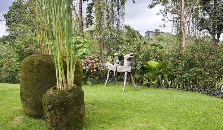 Villa di Pasut , Kerambitan , Tabanan, View Sungai Dan Hutan