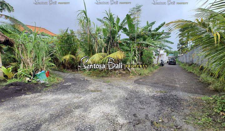 Tanah di Kayu Tulang , Canggu, Lingkungan Villa 8