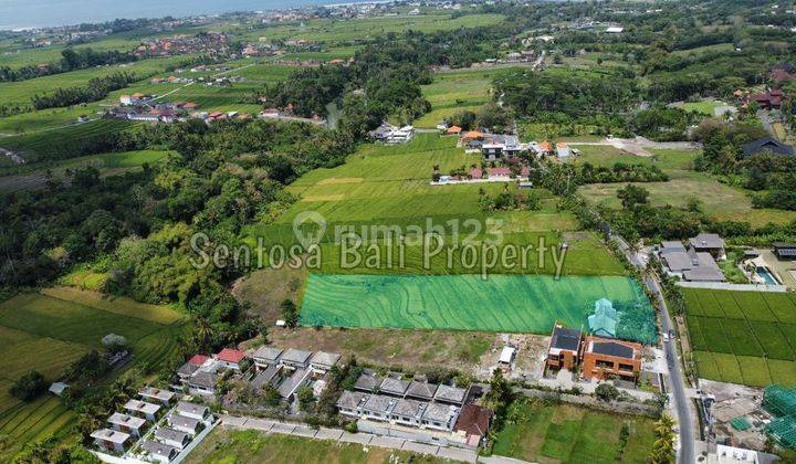 Land For Lease In Nyanyi Beach Bali , 5 Minute To The Beach 1