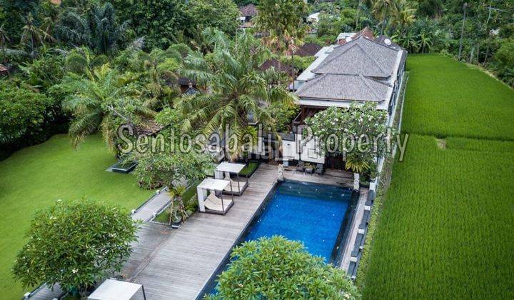 Villa Mewah di Gatsu Timur , Denpasar, View Sawah 1