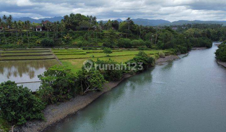 Tanah Dekat Medewi Pekutatan Jembrana Bali View Sawah Dan Laut 2