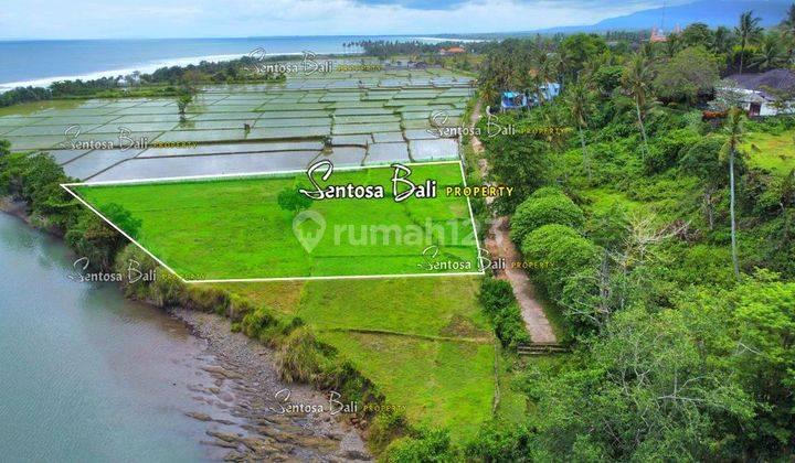 Tanah Dekat Medewi Pekutatan Jembrana Bali View Sawah Dan Laut 2