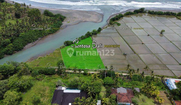 Tanah Dekat Medewi Pekutatan Jembrana Bali View Sawah Dan Laut 2