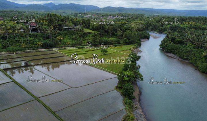 Tanah Dekat Medewi Pekutatan Jembrana Bali View Sawah Dan Laut 2