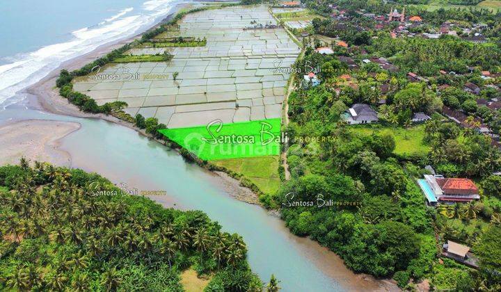 Tanah Dekat Medewi Pekutatan Jembrana Bali View Sawah Dan Laut 2