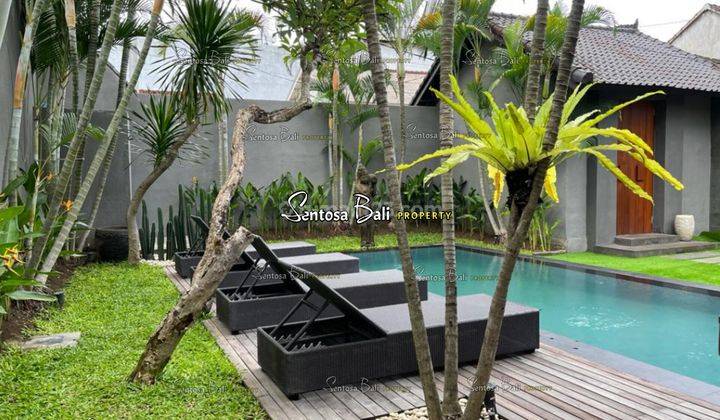 Villa For Lease Modern Villa In Seminyak , Near The Beach 2