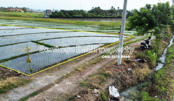 Tanah Murah di Beraban Selemadeg Timur Tabanan View Laut 2