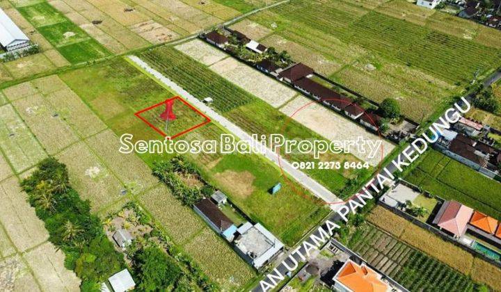 Land for Sale Directions to Kedungu Beach, Tabanan  2