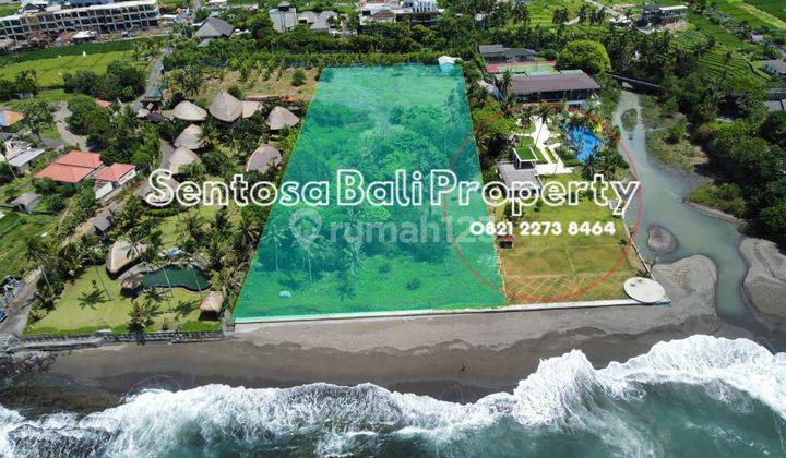 Tanah Loss Pantai Cemagi Badung Bali Lingkungan Villa 1