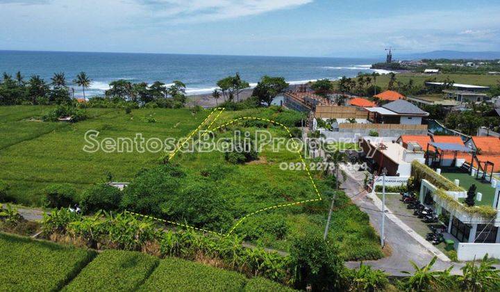 Tanah View Sawah Dan Laut di Pantai Mengening Cemagi 2