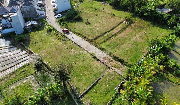 Land in Munggu, One Gate Residential Area, View of Rice Fields  2