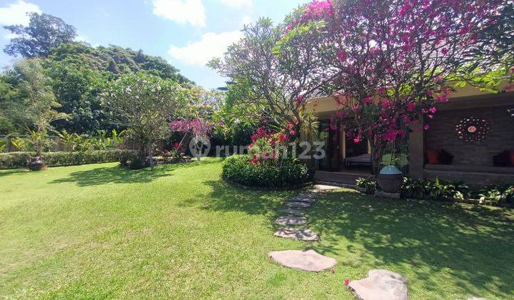 Villa In Padang Galak Sanur Spacious Lush Garden 2